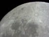 Mond T3 19